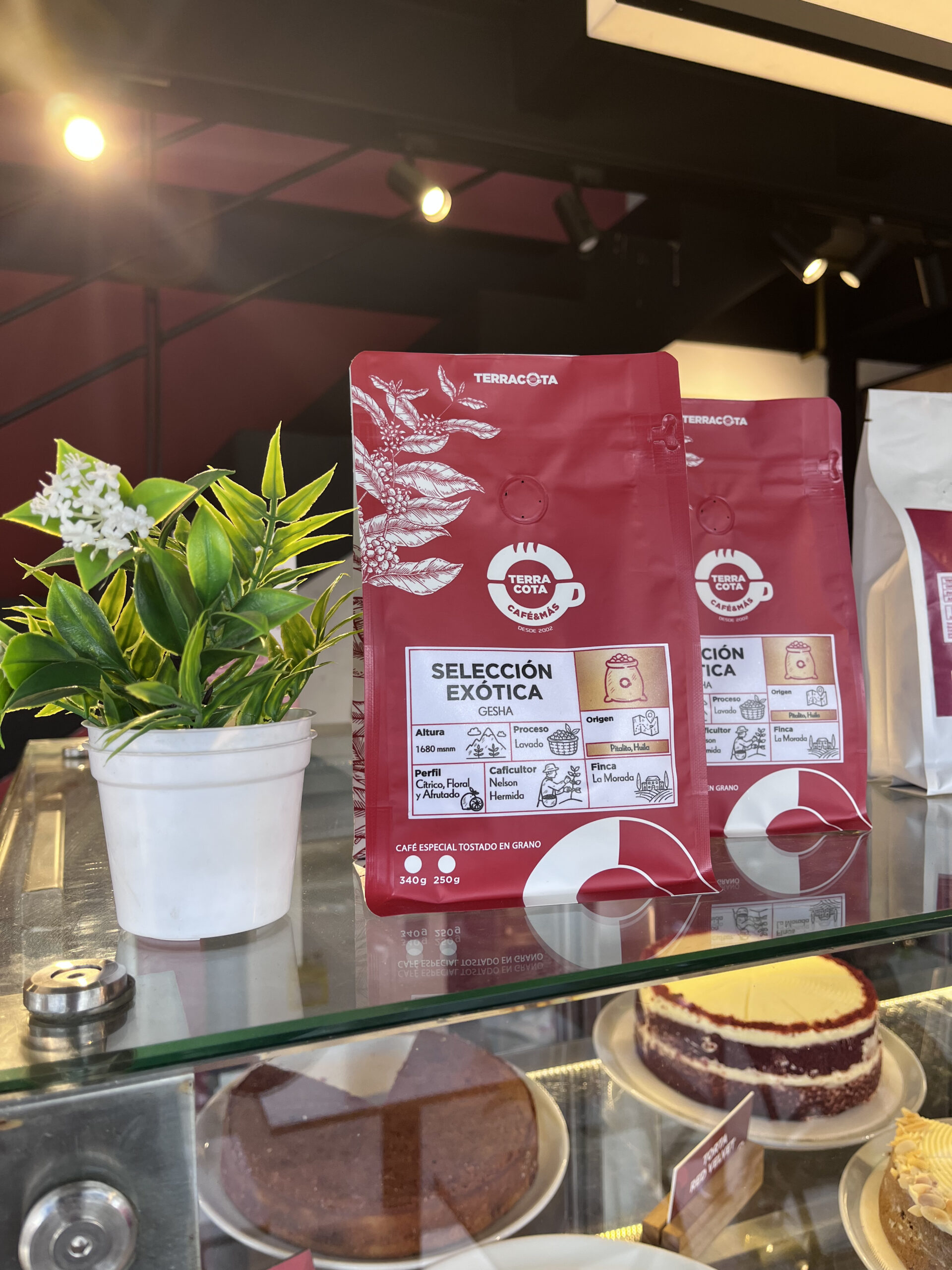 Café en grano Exotic Selection
